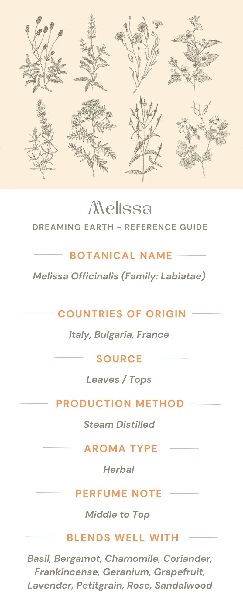 Melissa Essential Oil - Dreaming Earth Inc