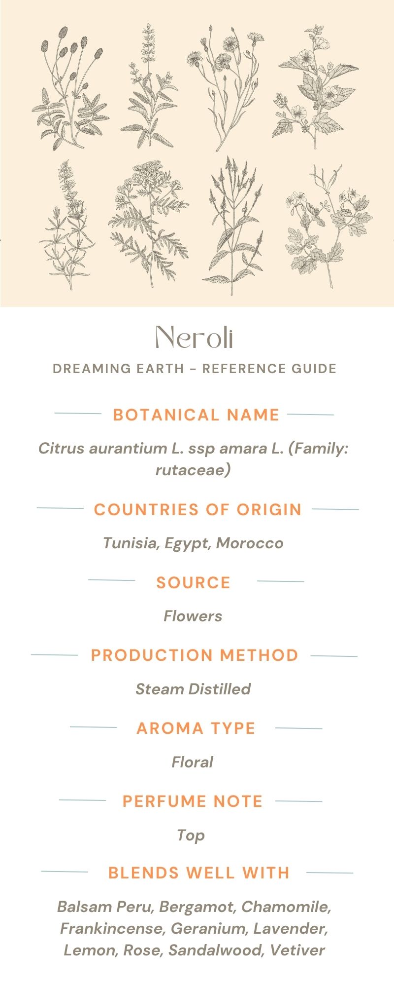 Neroli - 5% Essential Oil - Dreaming Earth Inc