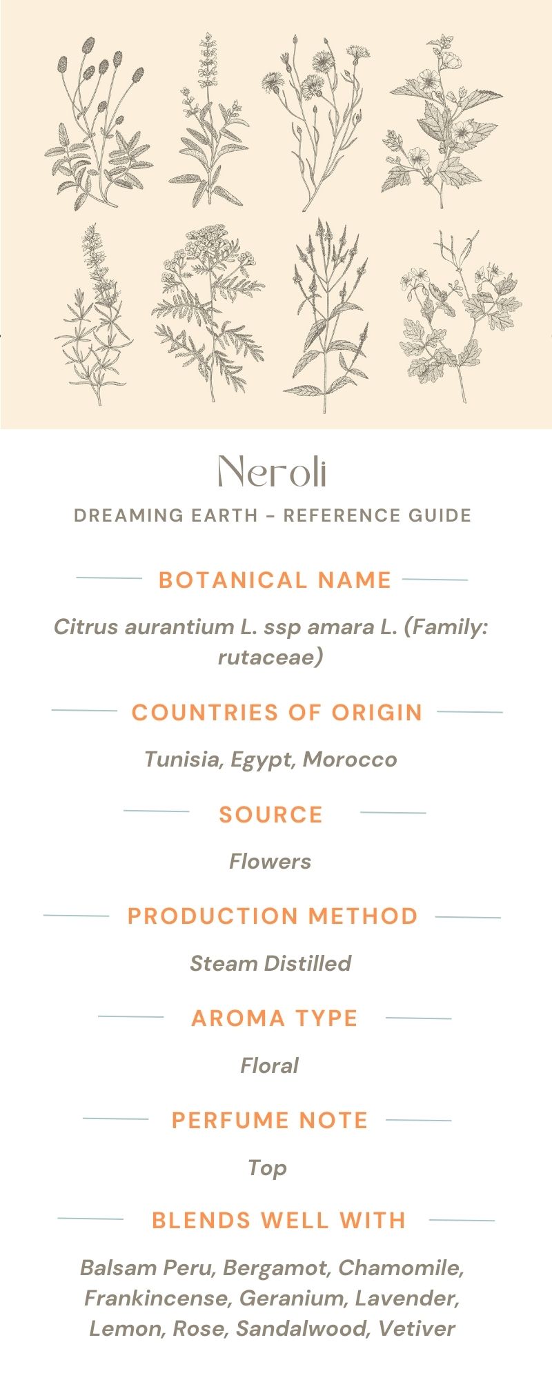 Load image into Gallery viewer, Neroli Essential Oil - Dreaming Earth Inc
