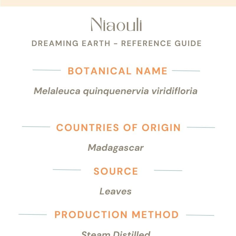 Niaouli Organic Essential Oil - Dreaming Earth Inc