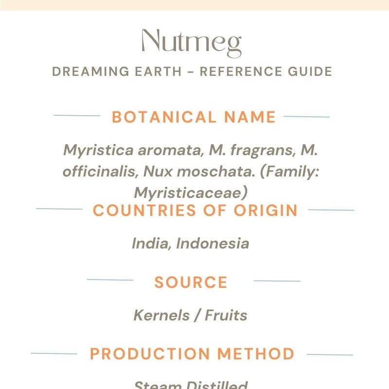 Nutmeg Essential Oil - Dreaming Earth Inc