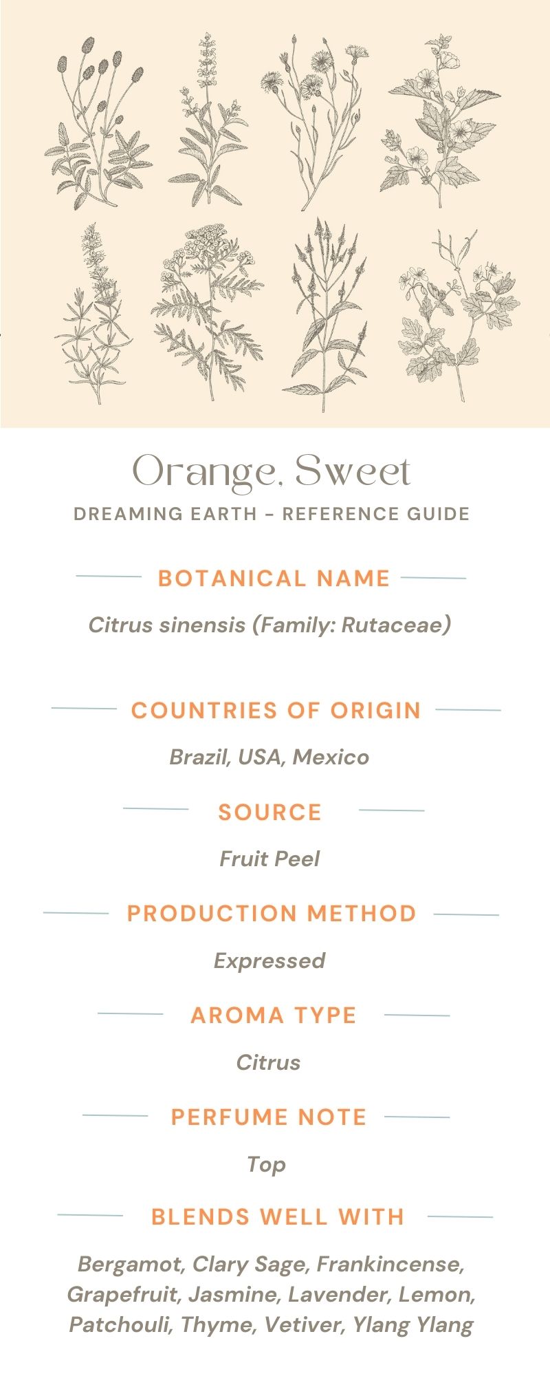Orange, Sweet Organic Essential Oil - Dreaming Earth Inc