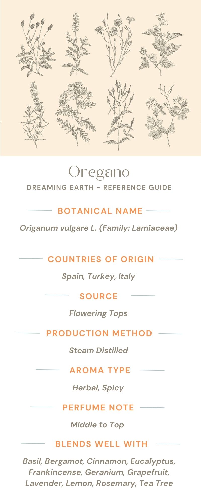 Oregano Organic Essential Oil - Dreaming Earth Inc
