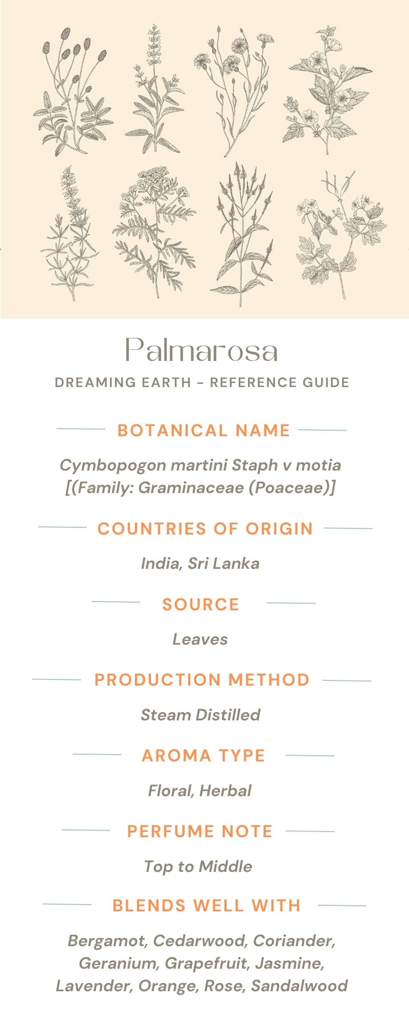 Palmarosa Organic Essential Oil - Dreaming Earth Inc