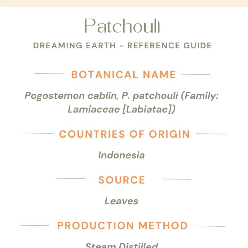 Patchouli Organic Essential Oil - Dreaming Earth Inc