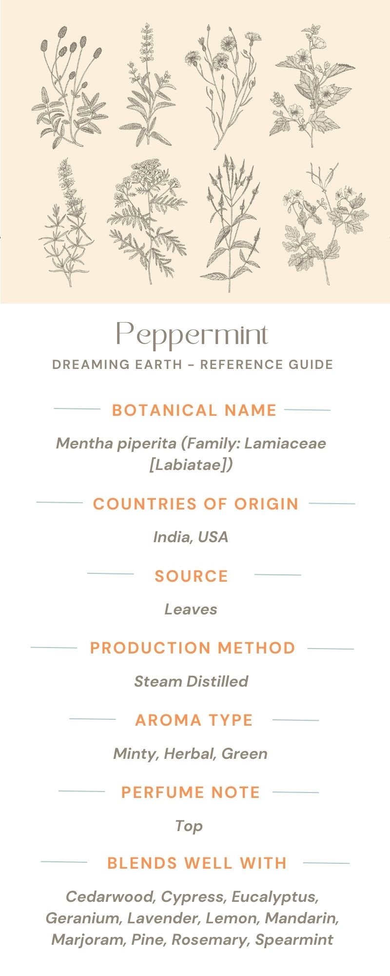 Load image into Gallery viewer, Peppermint - Organic Essential Oil - Dreaming Earth Inc

