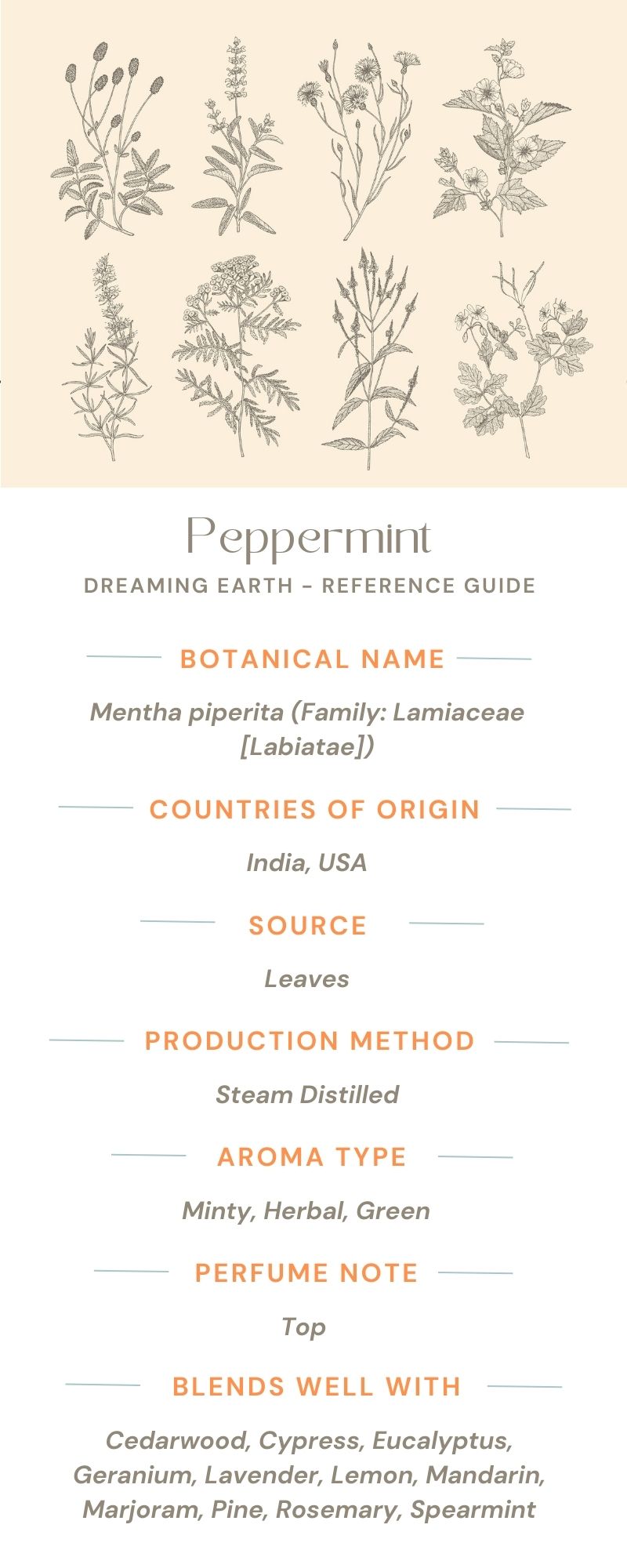 Peppermint - Organic Essential Oil - Dreaming Earth Inc