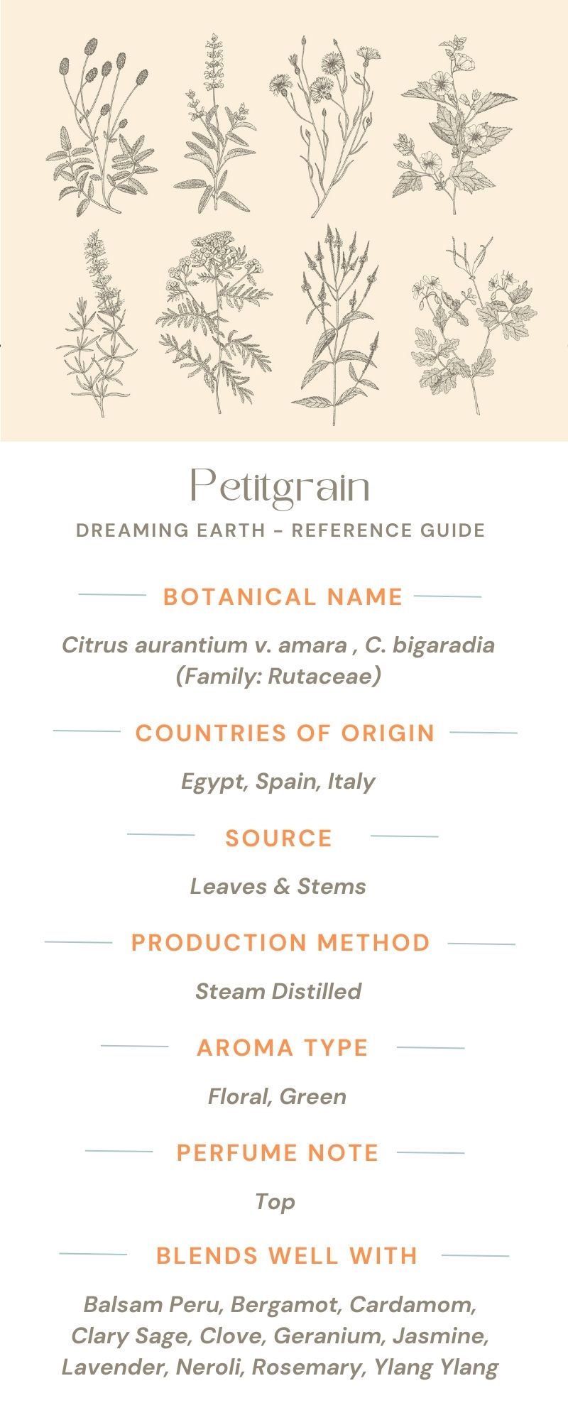 Petitgrain Organic Essential Oil - Dreaming Earth Inc