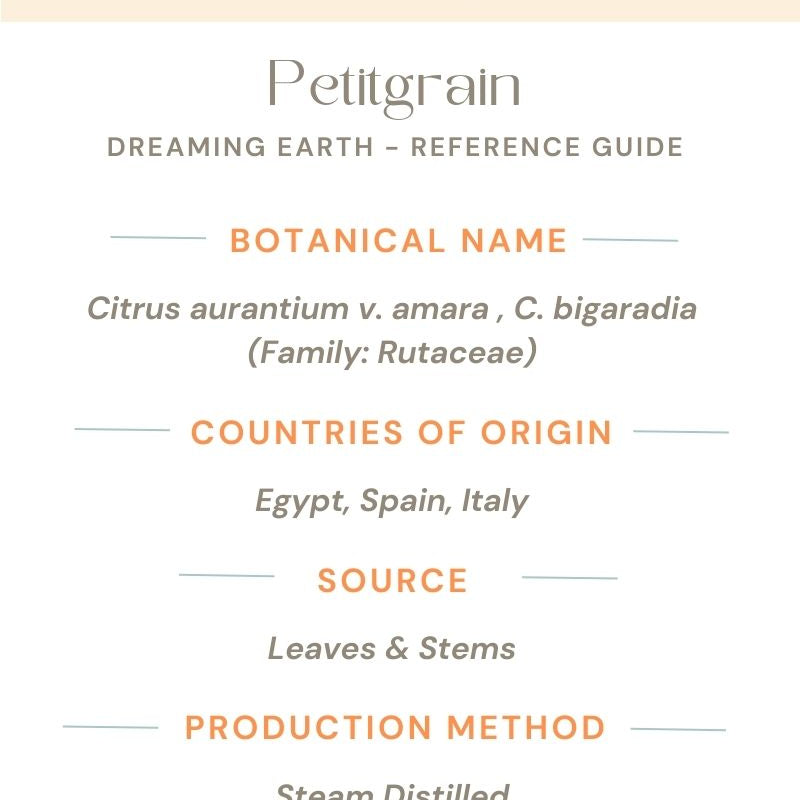 Petitgrain Organic Essential Oil - Dreaming Earth Inc