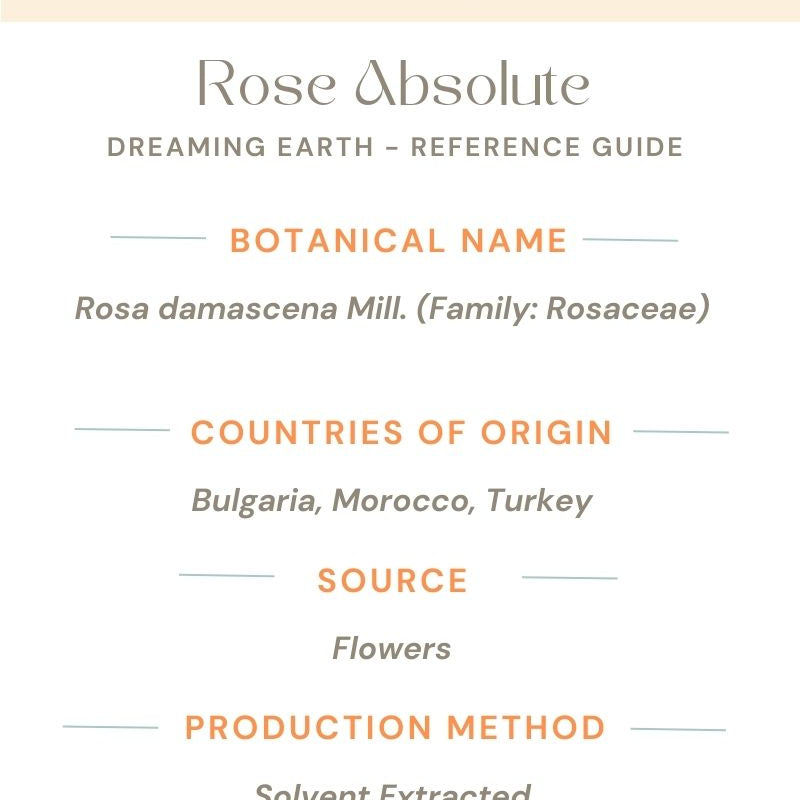 Rose Absolute (Maroc) Essential Oil - Dreaming Earth Inc