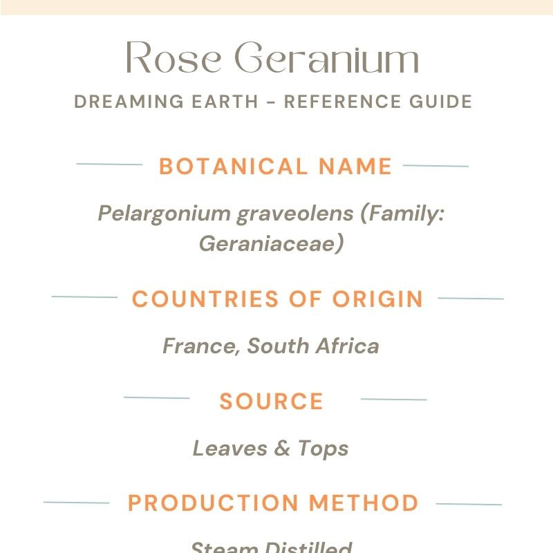 Rose Geranium Essential Oil - Dreaming Earth Inc