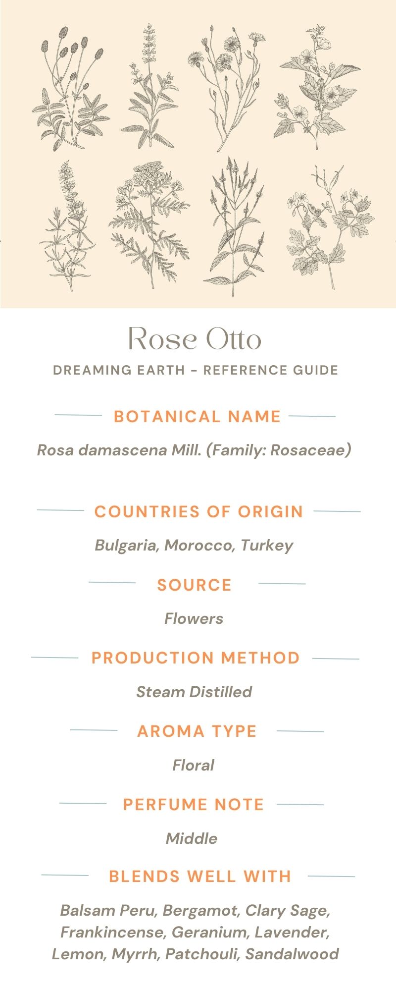 Rose Otto Essential Oil - Dreaming Earth Inc