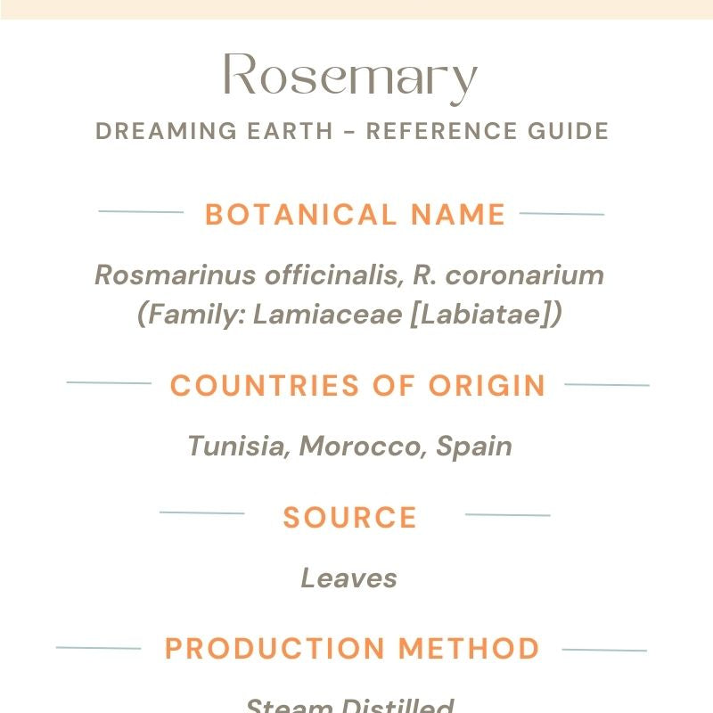 Rosemary, Organic Essential Oil - Dreaming Earth Inc