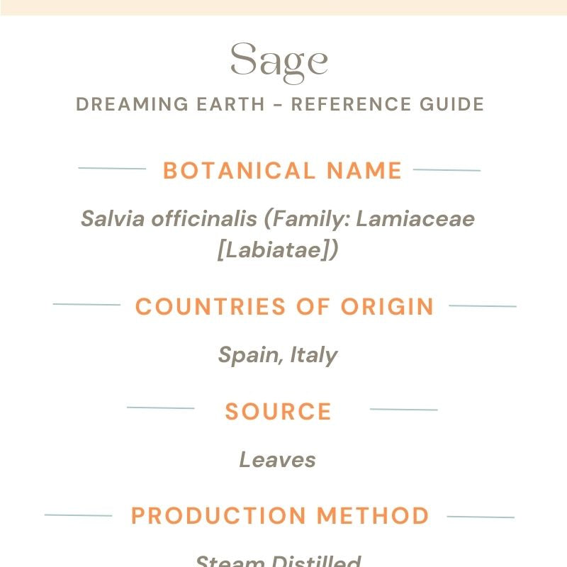 Sage, Organic Essential Oil (Spanish) - Dreaming Earth Inc