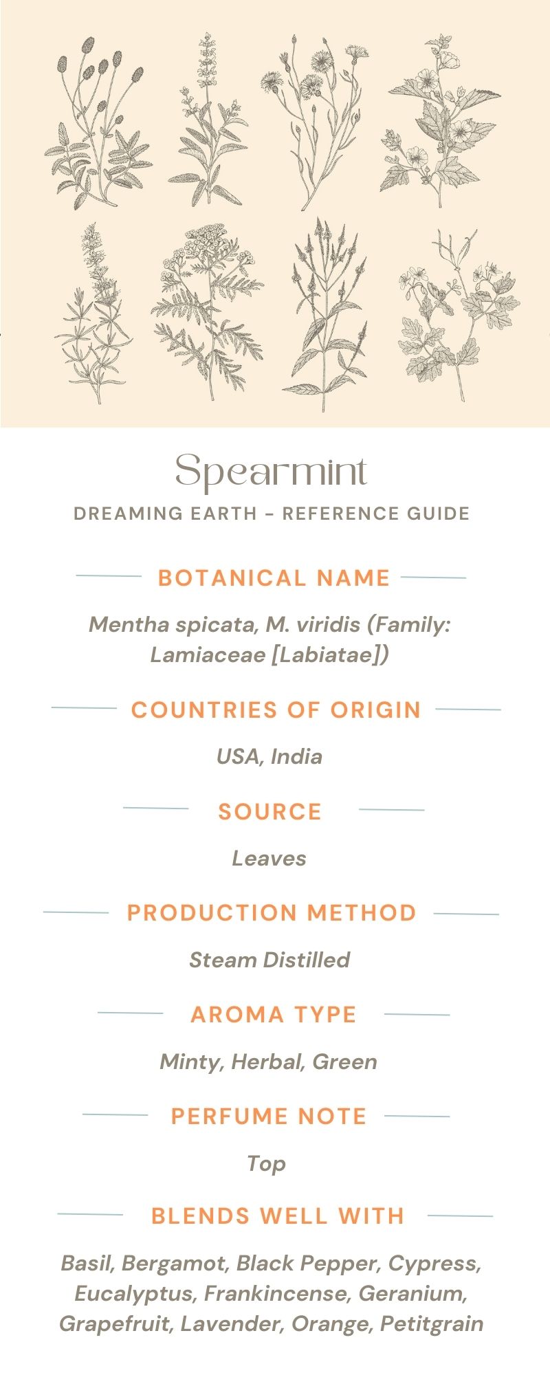 Spearmint - Organic Essential Oil - Dreaming Earth Inc