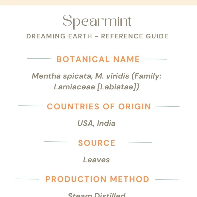 Spearmint - Organic Essential Oil - Dreaming Earth Inc