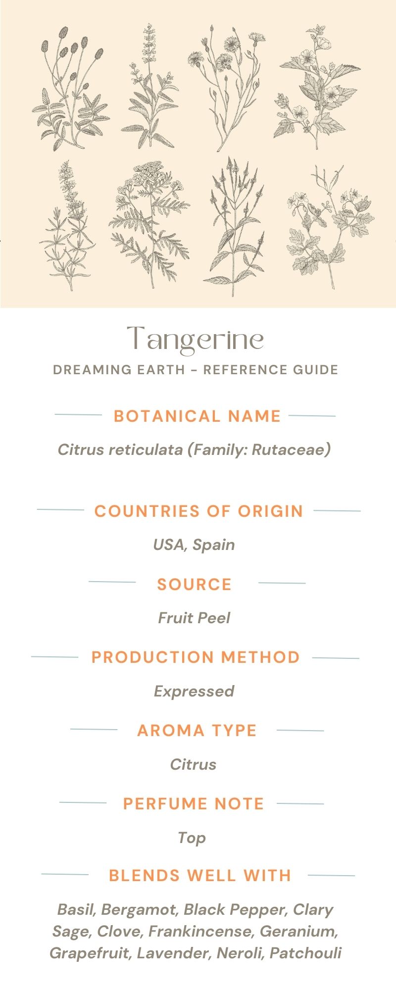 Tangerine Essential Oil - Dreaming Earth Inc