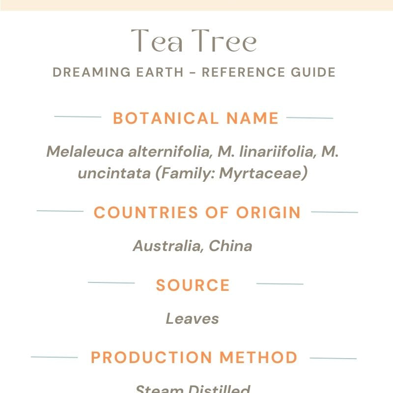 Tea Tree Essential Oil - Dreaming Earth Inc