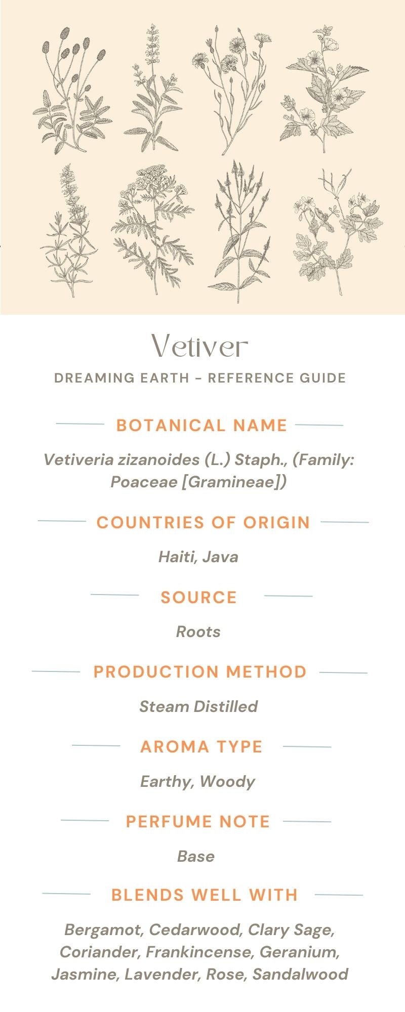 Vetiver Essential Oil - Dreaming Earth Inc