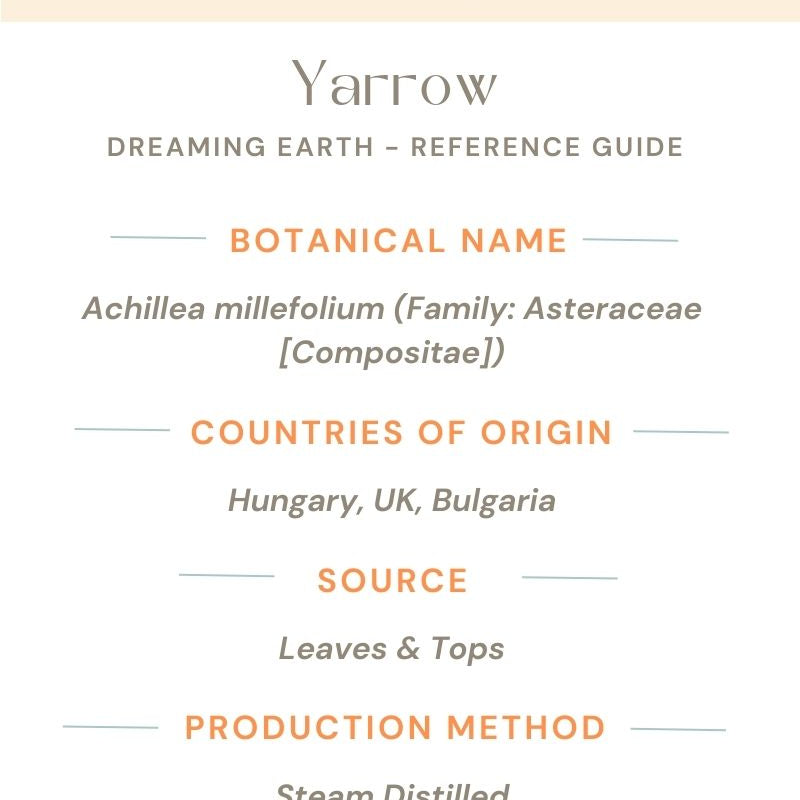 Yarrow Essential Oil - Dreaming Earth Inc