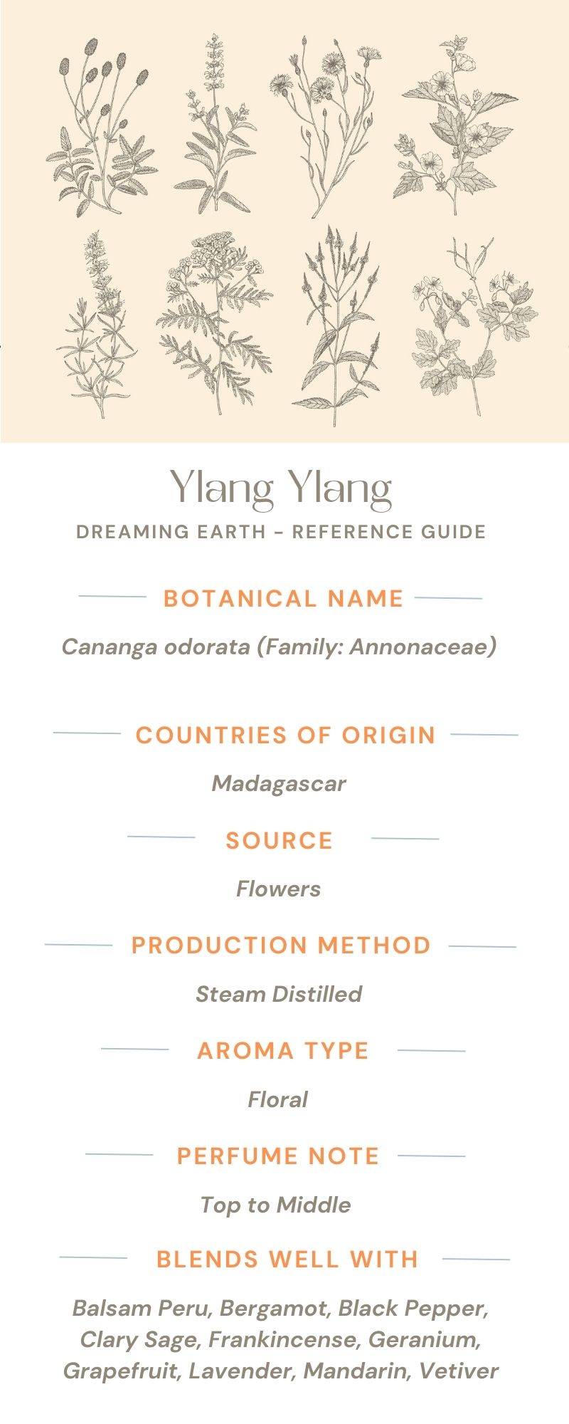 Ylang Ylang 1 Essential Oil - Dreaming Earth Inc