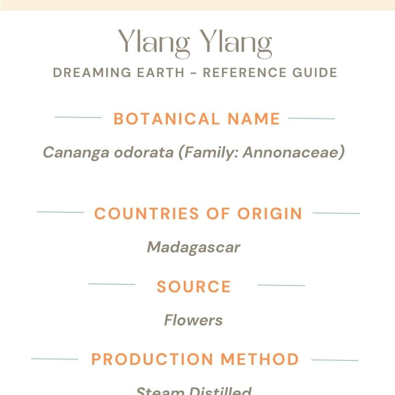 Ylang Ylang Dark Essential Oil - Dreaming Earth Inc