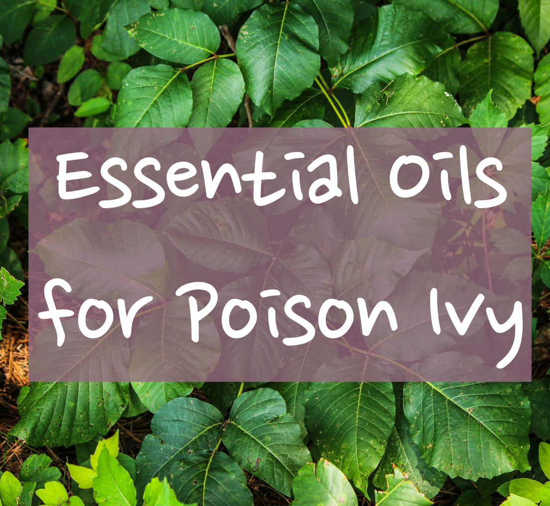 Essential Oils for Poison Ivy - Dreaming Earth Inc