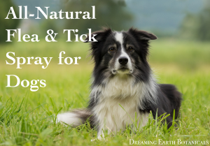 Flea and Tick Repellent Spray for Dogs - Dreaming Earth Inc