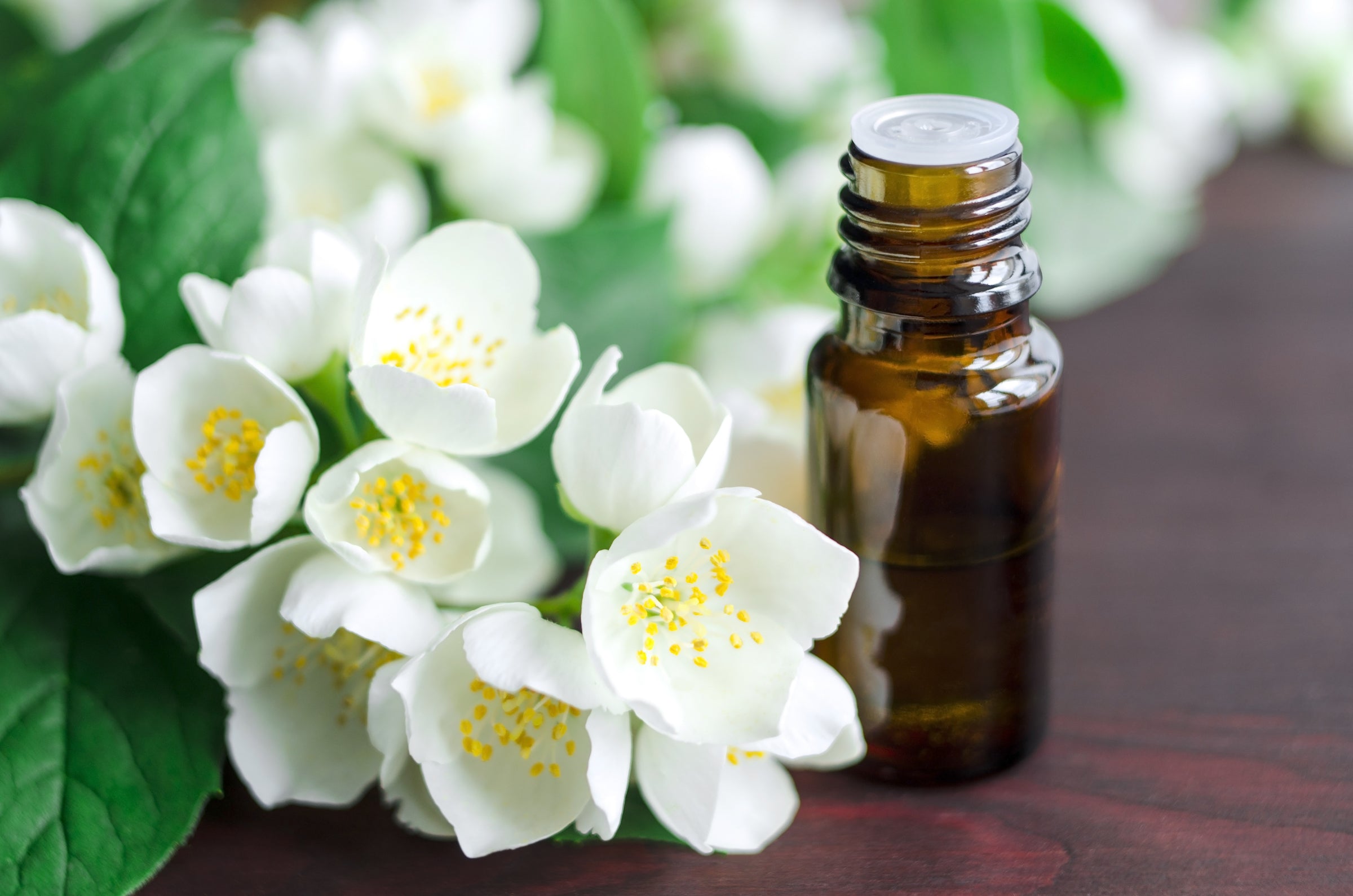 Essential Oils for Sleep - Dreaming Earth Inc