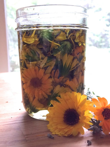 Lavender and Calendula-Infused Oil and Hand Salve