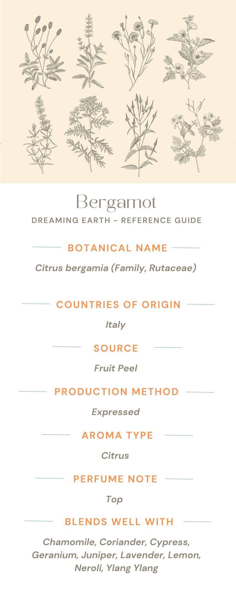 Load image into Gallery viewer, Bergamot FCF Essential Oil - Dreaming Earth Inc
