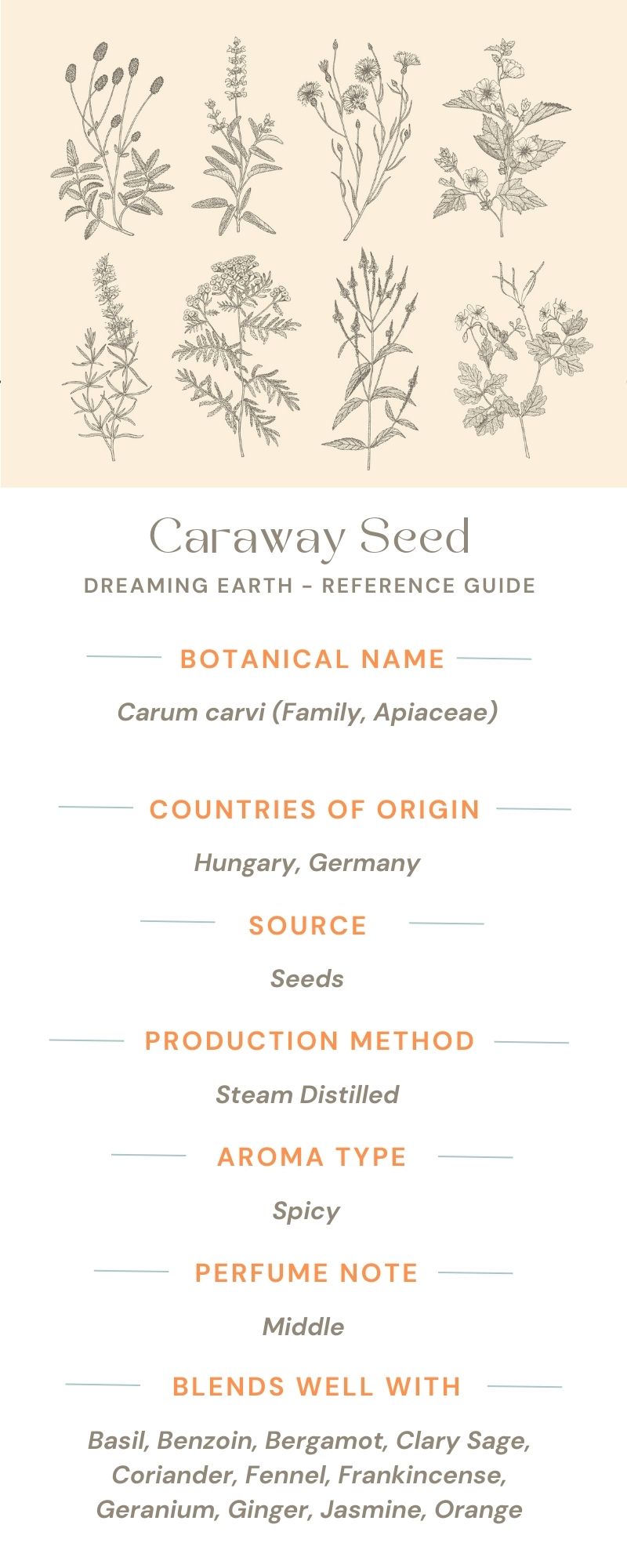Load image into Gallery viewer, Caraway Seed Essential Oil
