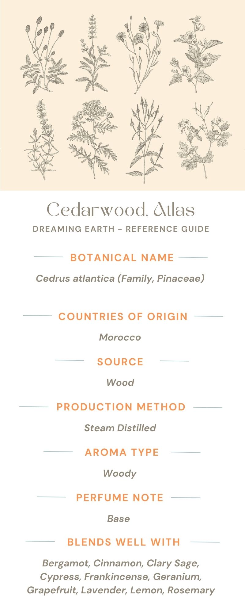Load image into Gallery viewer, Cedarwood Organic Essential Oil - Dreaming Earth Inc
