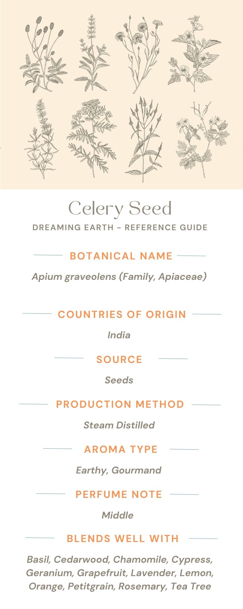Load image into Gallery viewer, Celery Seed Essential Oil
