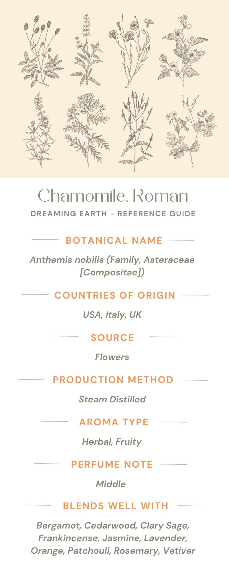 Load image into Gallery viewer, Chamomile, Roman Essential Oil - Dreaming Earth Inc
