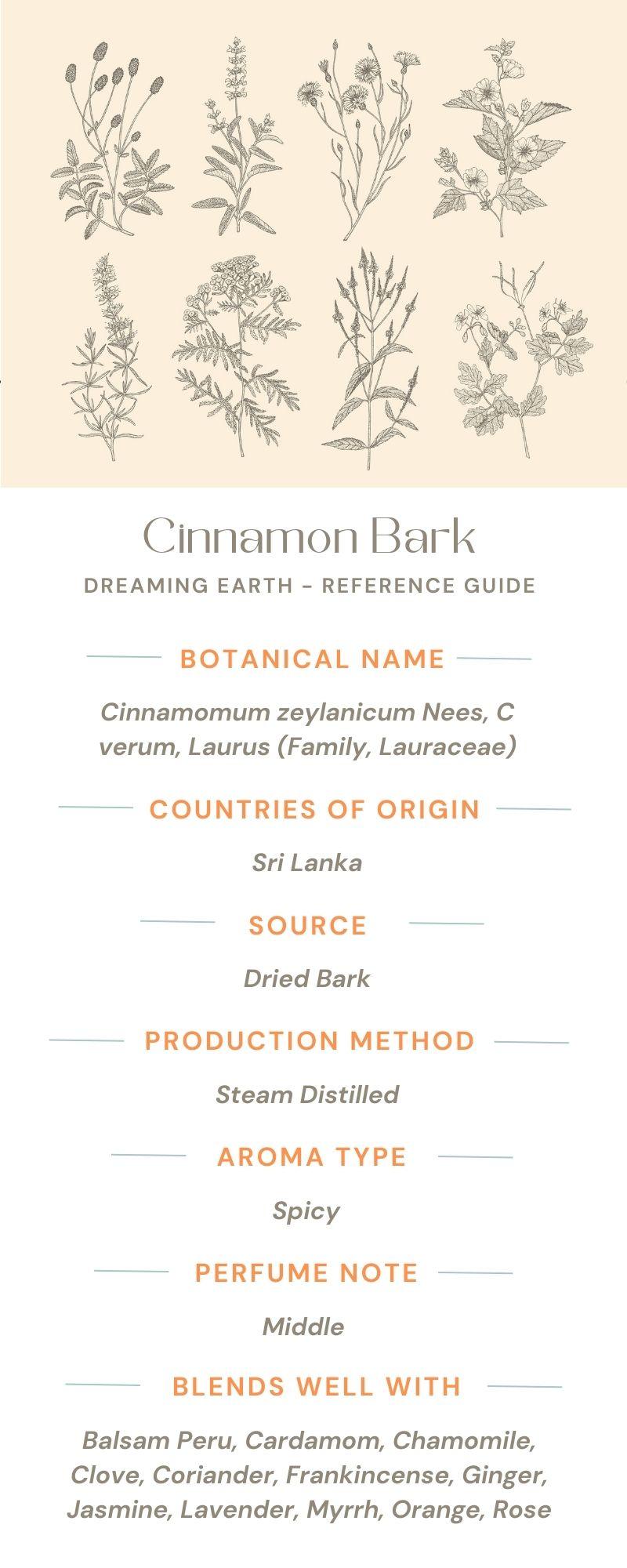 Load image into Gallery viewer, Cinnamon Bark Organic Essential Oil - Dreaming Earth Inc

