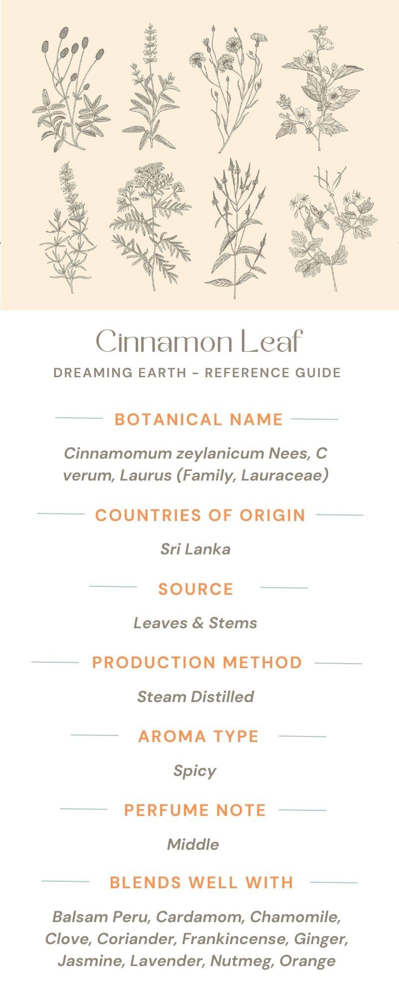Load image into Gallery viewer, Cinnamon Leaf Organic Essential Oil - Dreaming Earth Inc
