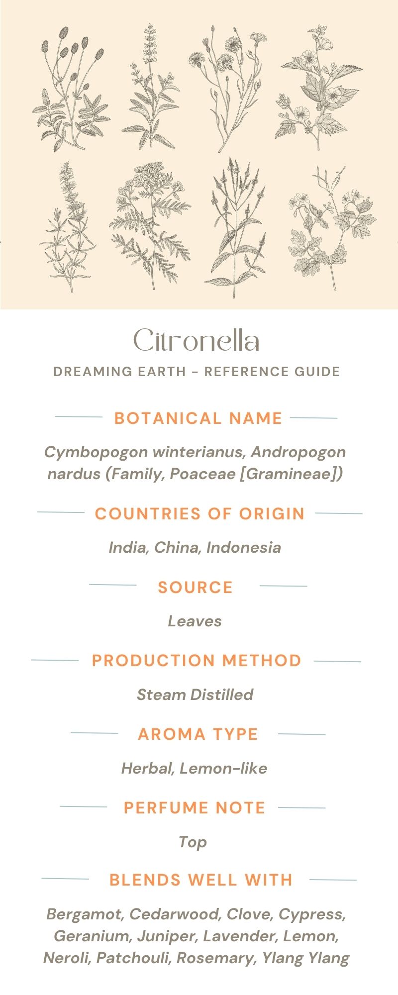Load image into Gallery viewer, Citronella Organic Essential Oil - Dreaming Earth Inc
