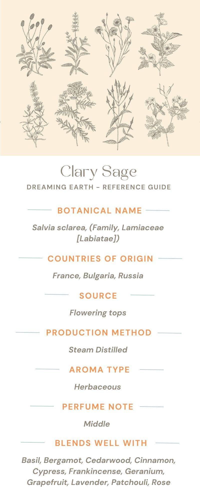 Load image into Gallery viewer, Clary Sage Essential Oil - Dreaming Earth Inc
