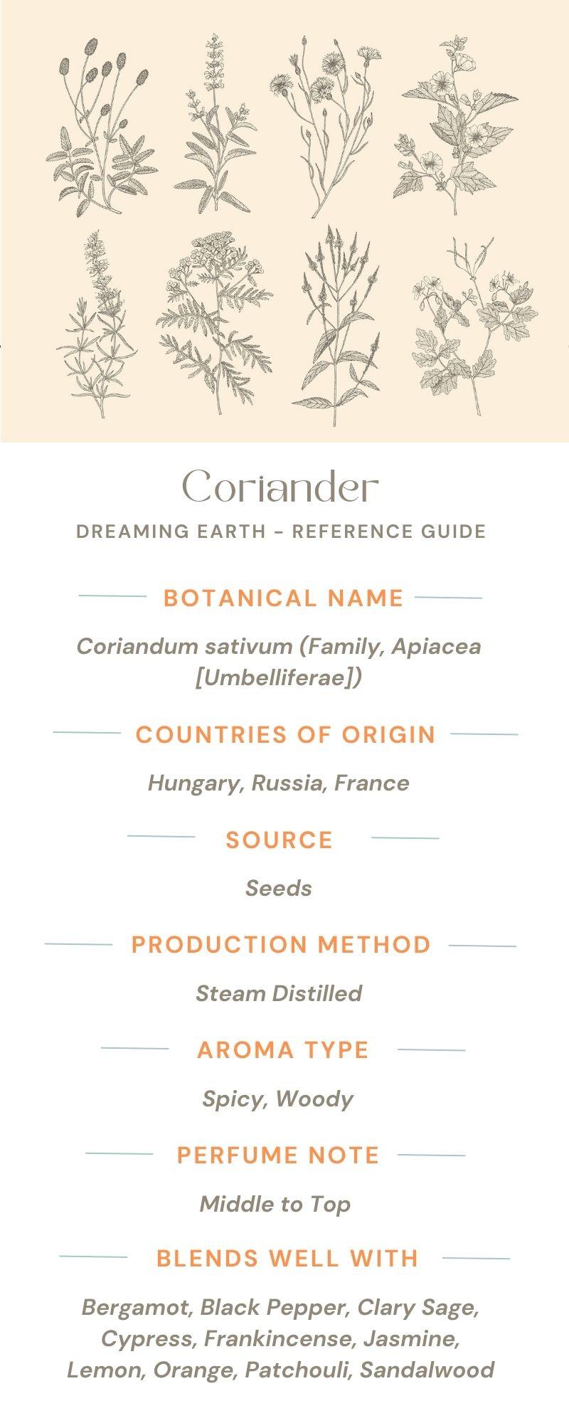 Load image into Gallery viewer, Coriander Essential Oil - Dreaming Earth Inc
