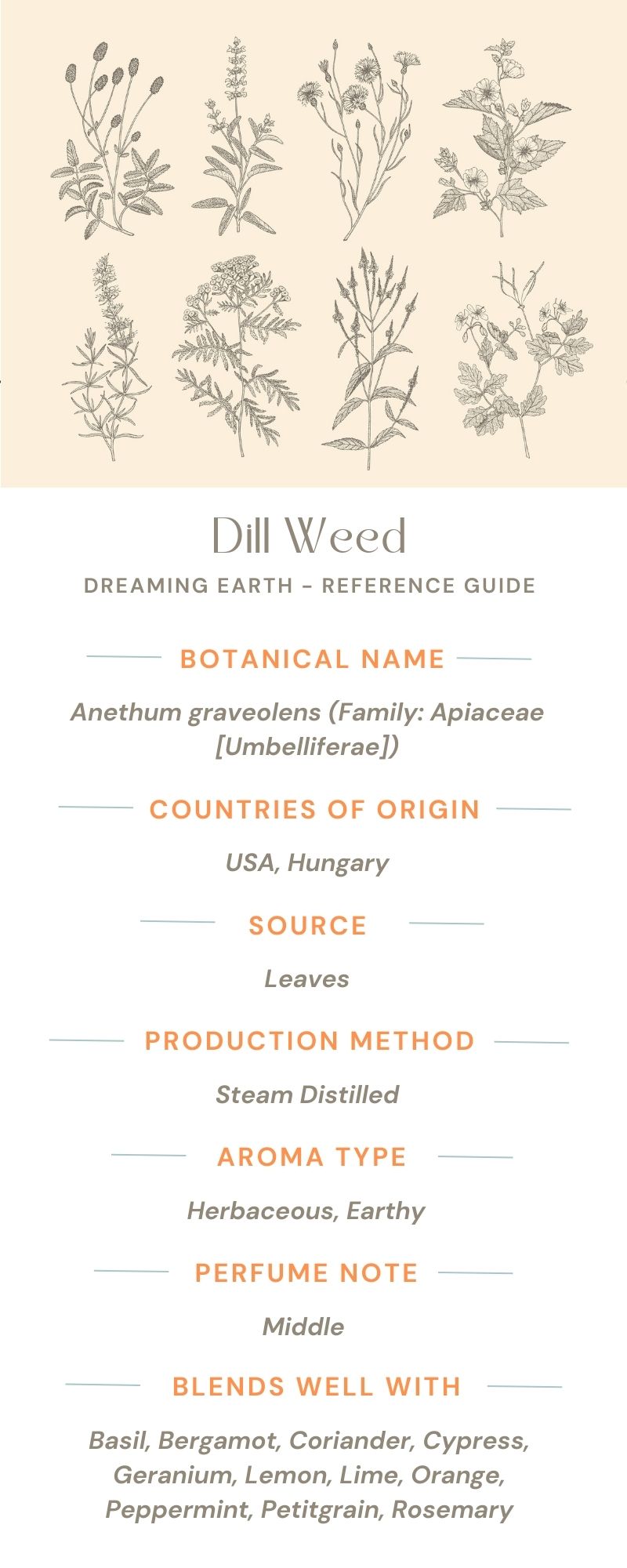 Load image into Gallery viewer, Dill Weed Essential Oil
