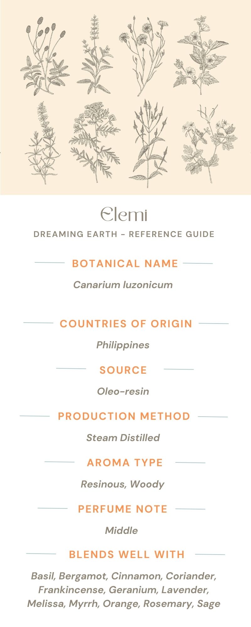 Load image into Gallery viewer, Elemi Essential Oil - Dreaming Earth Inc
