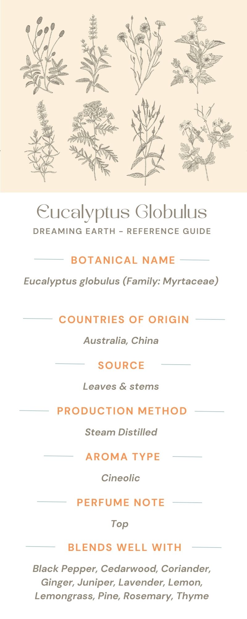 Load image into Gallery viewer, Eucalyptus Globulus Organic Essential Oil - Dreaming Earth Inc
