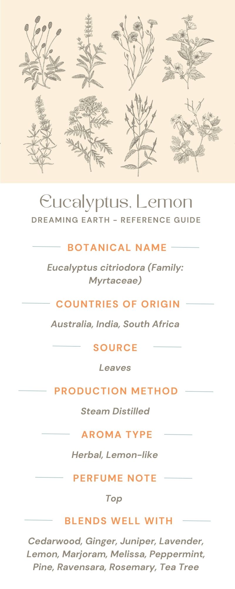 Load image into Gallery viewer, Eucalyptus Citriodora Essential Oil
