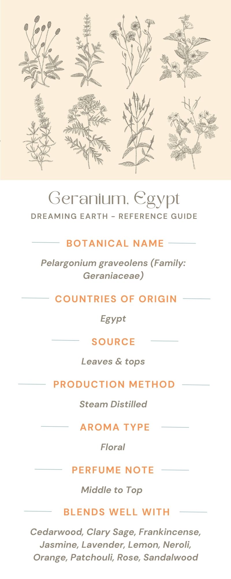 Load image into Gallery viewer, Geranium, Egypt - Organic Essential Oil - Dreaming Earth Inc
