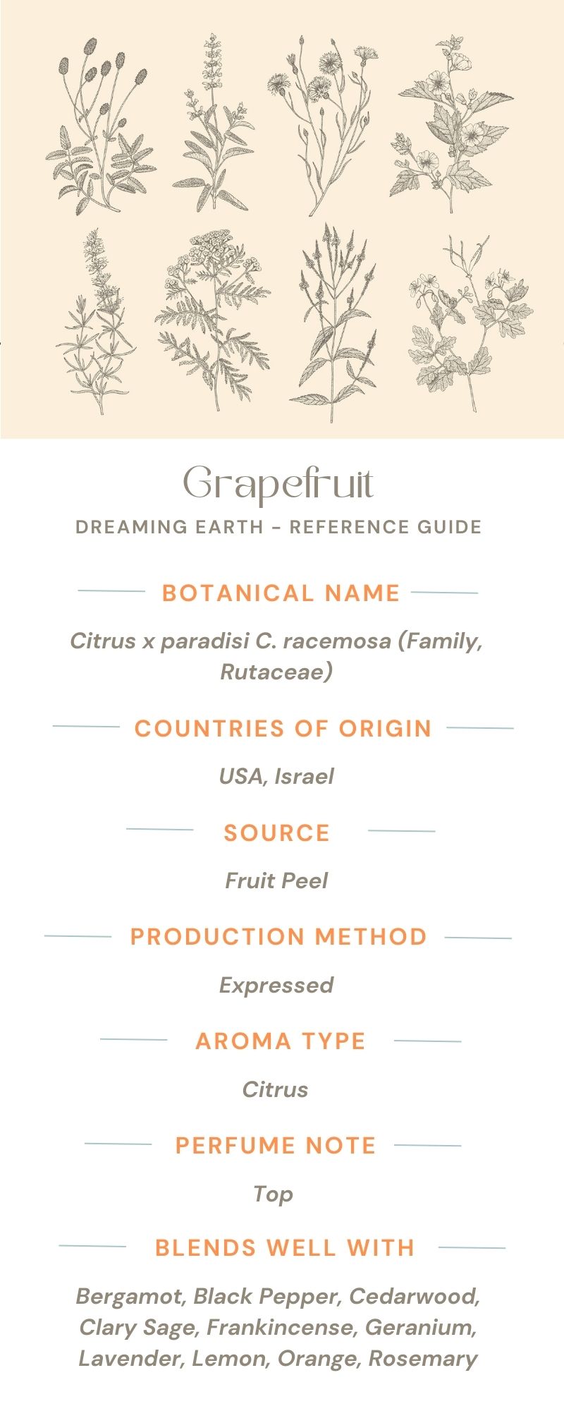 Load image into Gallery viewer, Grapefruit Essential Oil, Pink - Dreaming Earth Inc
