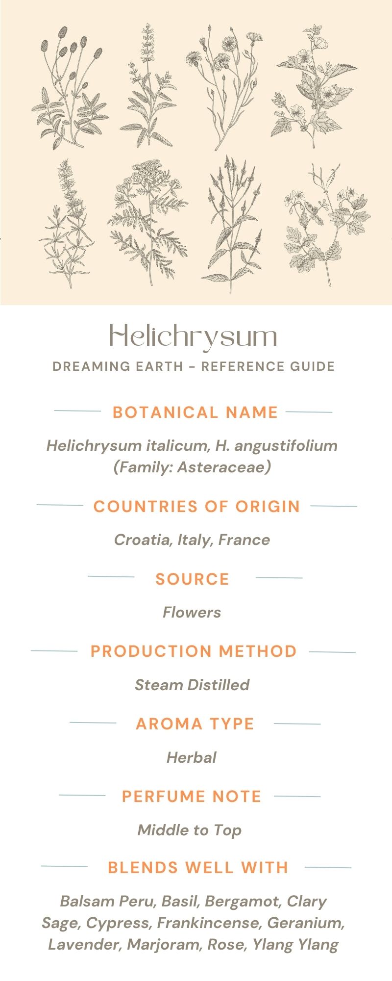 Load image into Gallery viewer, Helichrysum Organic Essential Oil - Dreaming Earth Inc
