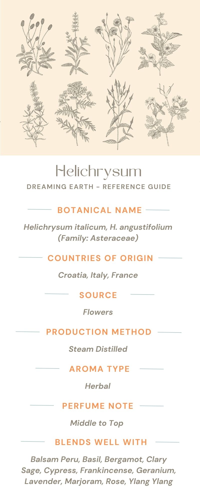 Load image into Gallery viewer, Helichrysum 5% Essential Oil - Dreaming Earth Inc
