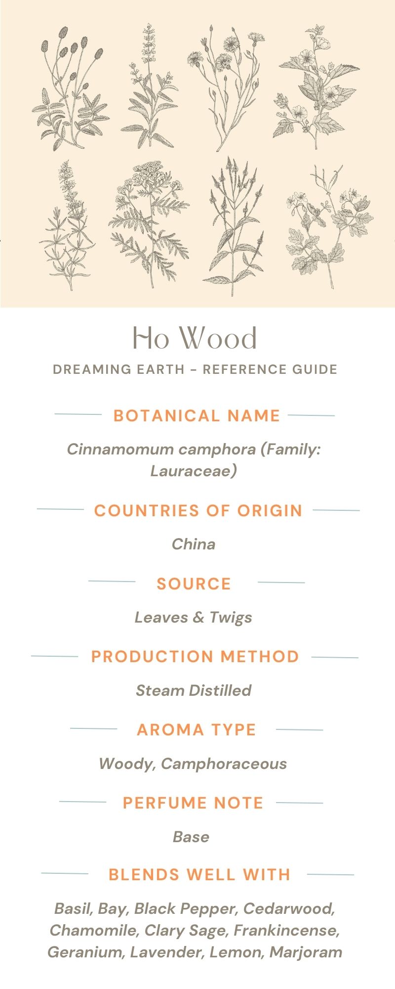Load image into Gallery viewer, Ho Wood Organic Essential Oil - Dreaming Earth Inc
