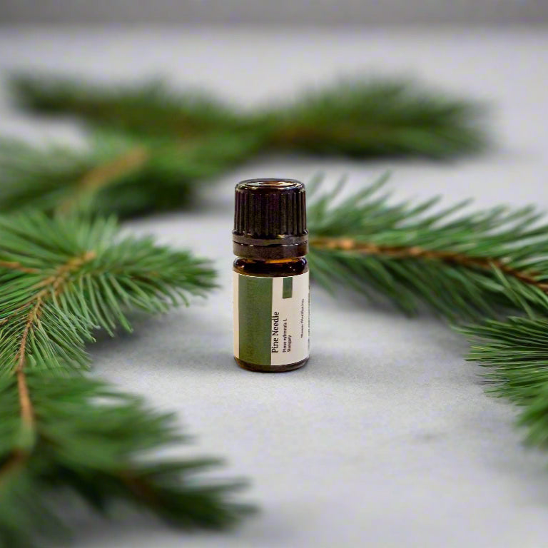 Load image into Gallery viewer, Pine Needle Essential Oil (Scotch Pine)
